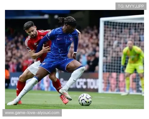 切尔西马杜埃凯底线倒三角助攻破门精彩瞬间